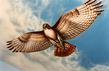 Commissions ~ Hawk Mural By Petrus Boots ~ Art Unseen Studio and Gallery ~