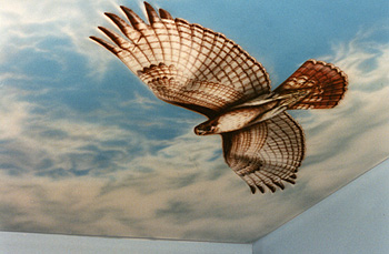 Commissions ~ Hawk Mural By Petrus Boots ~ Art Unseen Studio and Gallery ~
